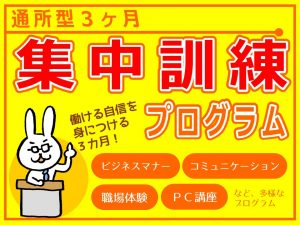 通所型3ヶ月集中訓練プログラム